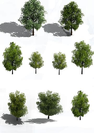 Birds Eye View PNGs for Free Download .